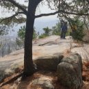 대전둘레산길(10구간) 이미지