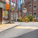 옐로카펫 이미지