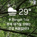 배낭여행 | 2주간의 인도 배낭 여행 후기