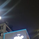 호랑이버거 | 신촌 버거옥 방문 후기 호랑이 비프 버거