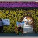 꿈에궁전 이미지