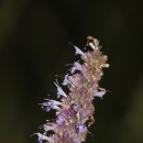 농어바위 이미지