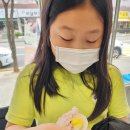 마니에젤라또 이미지