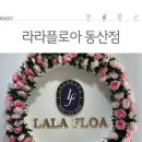 라라플로아 이미지
