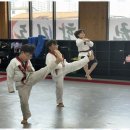 백석 더 혼 태권도 이미지