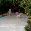 대지파크 이미지