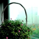 싱글골프존스크린 이미지