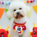 러브썸그루밍샵 이미지