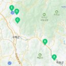 금천리 산수유 네이버블로그