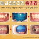 옵티마오쏘코리아 이미지