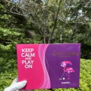 나인볼 | 세인트나인 골프공 3피스골프공 추천