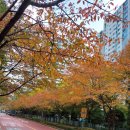 보미플라자 이미지