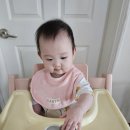 초기이유식준비물 키즈마일 퍼기 처음쓰는 이유식 찍먹스푼 &amp; 냥냥 흡착볼 사용 후기