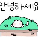 김진희부동산 이미지