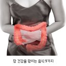 《장 건강을 망치는 음식 9가지》 이미지