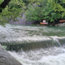 신원민박 이미지