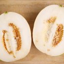 선이네농장 이미지