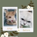 짱구와 동팔이 이미지