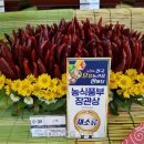 영양고추유통센터 티스토리