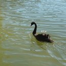 북방마을 | 고북수진과 사마대장성 써니투어 완벽 후기