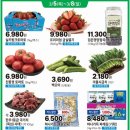 더신선 네이버블로그