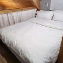 셀티스 | 경남 남해_셀티스