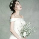 변호사박상준법률사무소