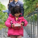 부창농장 이미지