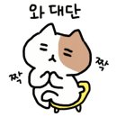 쉐프조 이미지