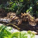 국립농산물품질관리원거창사무소 이미지