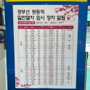 원동주유소 공중화장실 | [양산 원동] 양산 원동역 순매원 매화마을, 기차타고 떠나는 뚜벅이 여행 코스 &amp; 꿀팁 총정리 (주차...