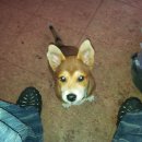 성규카센타 이미지