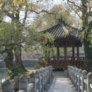 조삼모아 이미지