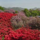 영산홍화장실 이미지