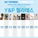 와이앤피 이미지