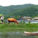 $$. 매출약간법인/농업회사/지방/자본금1억/설립2021년6월/매매보류 이미지