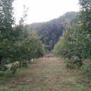 정골농장 이미지