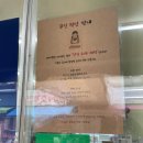 산본케이크 제이델링 산본금정점, 순우유딸기케이크 후기