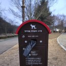 산책 | 분당 율동공원 주차 및 강아지 산책 후기