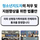 국회 성평등가족위원회 전체회의, 청소년지도자 처우 및 지위 향상에 관한 법률 제정안 의결 이미지