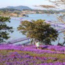 우포마을기업 이미지