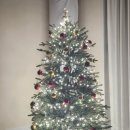 송송 스테이 이미지