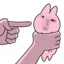 니나 이미지