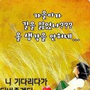 *세상에서 가장 아름답고 장엄한 자연경관 7선 🥸 이미지