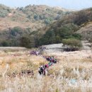 안산행정사사무소 이미지