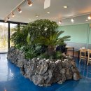 모모라면 이미지