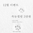 헤이브로우 눈썹&속눈썹