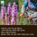 국제허브아카데미 이미지