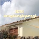 송당향기 이미지