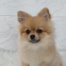 베테랑P&K 이미지